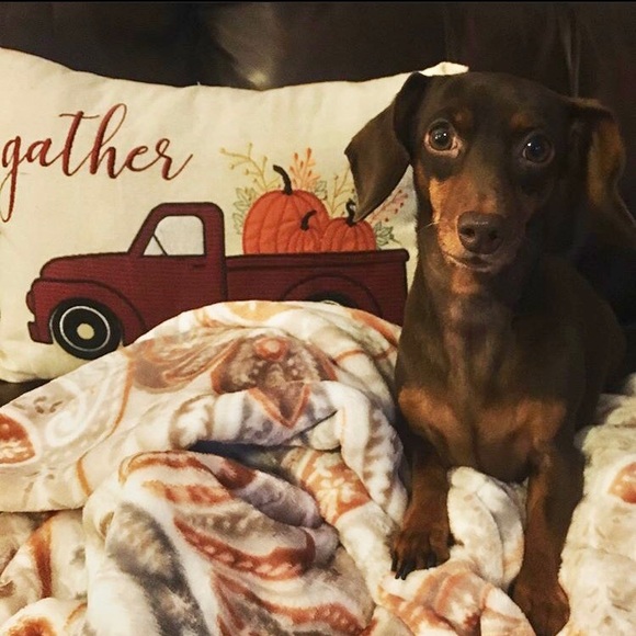 Meet your Posher, Laura - Picture 6 of 12